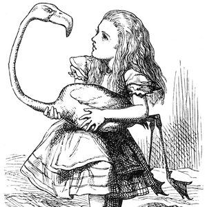 Meet your Posher, EUC Resale